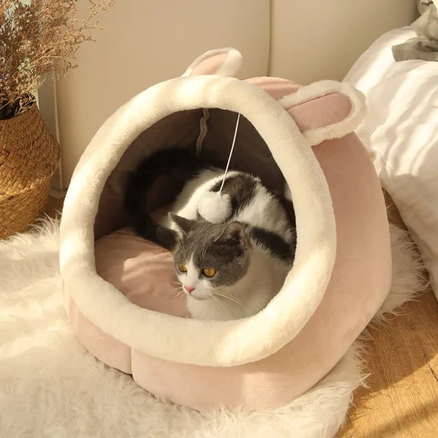 Cama Fantasy para Gato