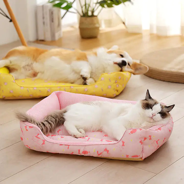 Cama Confortável Para Cão e Gato