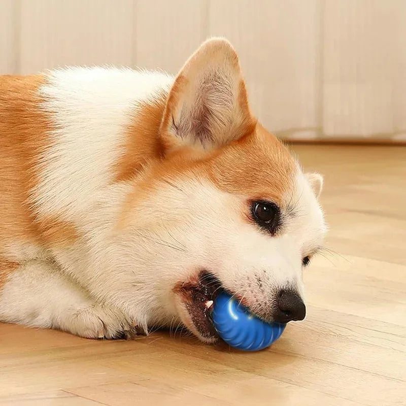 Dog Toy Ball - Bola Inteligente Para Cães