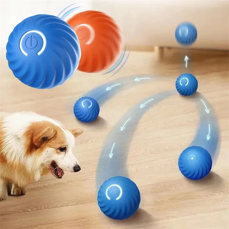 Dog Toy Ball - Bola Inteligente Para Cães