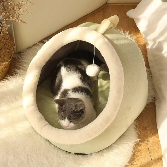 Cama Fantasy para Gato