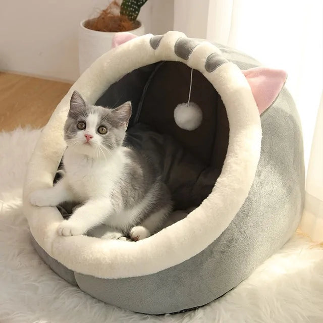 Cama Fantasy para Gato